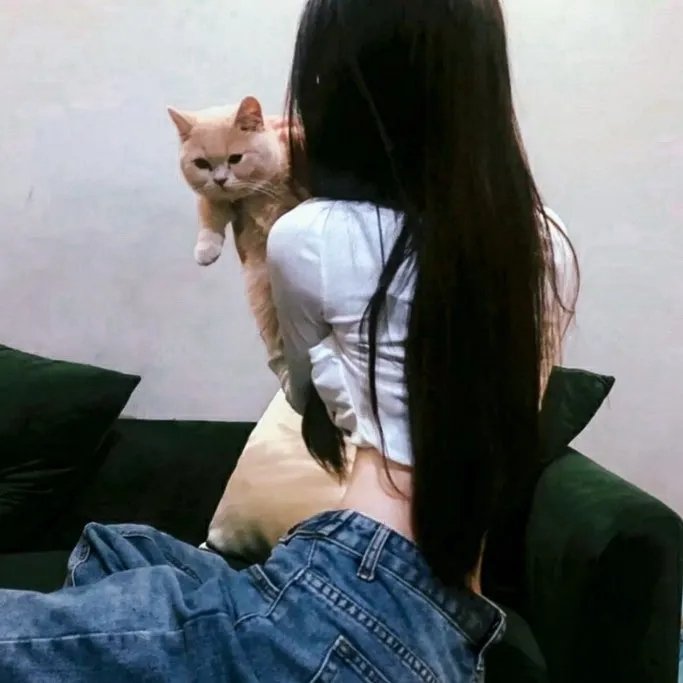 穿越爱情线